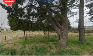 ¡Lotes en venta! (Calles 20 y 59)