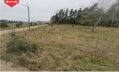 ¡Lotes en venta! (Calles 20 y 59)