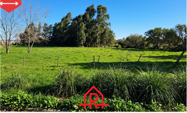 ¡Lotes en venta! (Calles 20 y 59)
