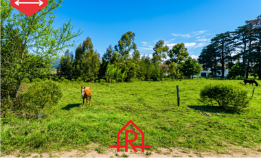 ¡Lotes en venta! (Calles 20 y 59)