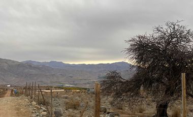 Parcela en venta en VICUÑA