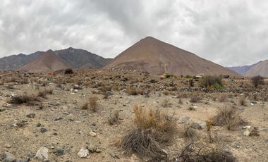 Parcela en venta en VICUÑA