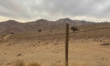 Parcela en venta en VICUÑA
