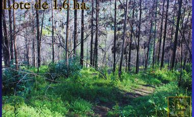 Parcela en venta en SANTA JUANA