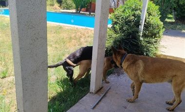 Parcela en Venta en Puente alto