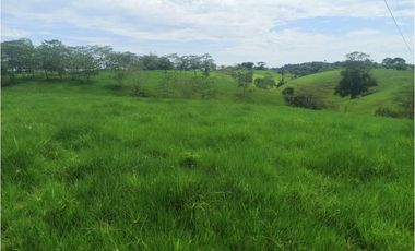 VENTA DE HERMOSA FINCA UBICADA EN ALBANIA CAQUETA