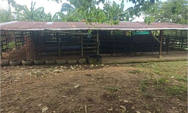 VENTA DE HERMOSA FINCA UBICADA EN ALBANIA CAQUETA