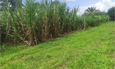 VENTA DE HERMOSA FINCA UBICADA EN ALBANIA CAQUETA