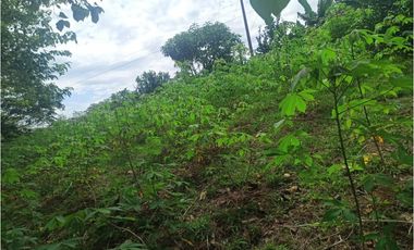 VENTA DE HERMOSA FINCA UBICADA EN ALBANIA CAQUETA