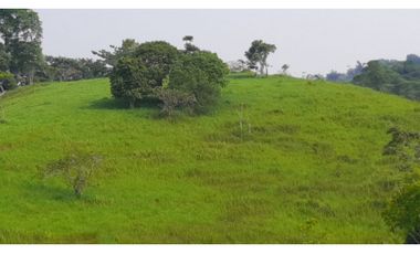 VENTA DE HERMOSA FINCA UBICADA EN ALBANIA CAQUETA