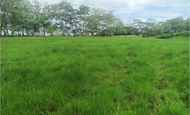 VENTA DE HERMOSA FINCA UBICADA EN ALBANIA CAQUETA