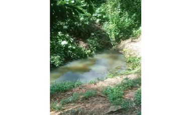 Casa camprestre a la venta en el sector de la selva, Pereira!!!