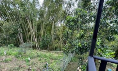 Casa camprestre a la venta en el sector de la selva, Pereira!!!