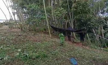 Casa camprestre a la venta en el sector de la selva, Pereira!!!