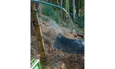 Casa camprestre a la venta en el sector de la selva, Pereira!!!