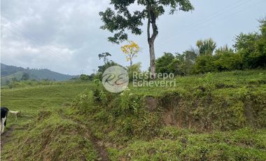 Lote en venta, Dosquebradas, Risaralda