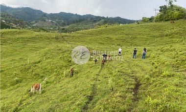 Lote en venta, Dosquebradas, Risaralda