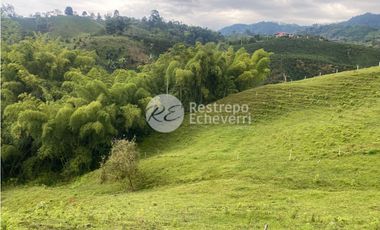 Lote en venta, Dosquebradas, Risaralda