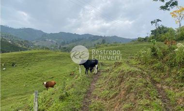 Lote en venta, Dosquebradas, Risaralda