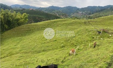 Lote en venta, Dosquebradas, Risaralda