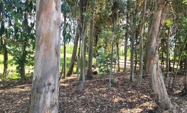 Terreno en Talca