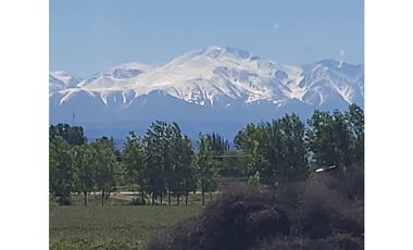 VENTA DE FINCA 13 HAS SOBRE RUTA 40, UGARTECHE - LUJAN DE CUYO