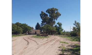 VENTA DE FINCA 13 HAS SOBRE RUTA 40, UGARTECHE - LUJAN DE CUYO