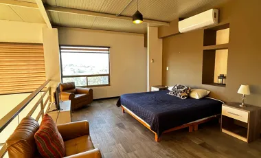 Departamento en renta en Jardines de Versalles, Saltillo, Coahuila de Zaragoza