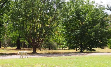 Casa en San Jorge Village 4 dormitorios