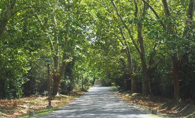 Casa en San Jorge Village 4 dormitorios