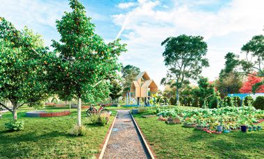 Terreno en  IBARLUCEA LOTE CAMPO MADERO II