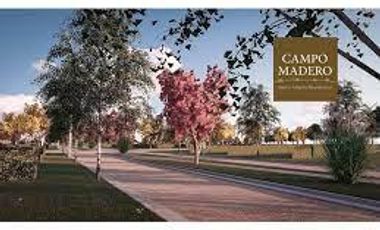 Terreno en  IBARLUCEA LOTE CAMPO MADERO II