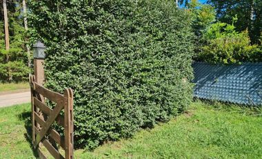 Terreno en venta - 800Mts2 - Exaltación de La Cruz