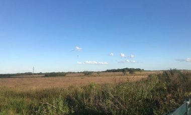 Campo 15 Ha - Tala, Entre Ríos, a metros de RN39