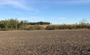 Campo 15 Ha - Tala, Entre Ríos, a metros de RN39