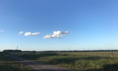 Campo 15 Ha - Tala, Entre Ríos, a metros de RN39