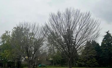 Casa en venta - Monoambiente - Benavidez