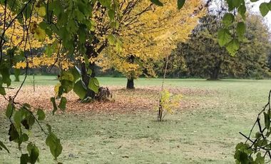 Casa en venta - Monoambiente - Benavidez