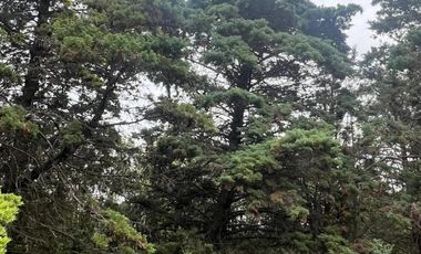 Casa en venta - Monoambiente - Benavidez