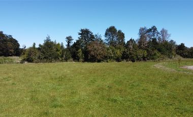 Parcela en Venta en Parcelación Lomas de Maullín