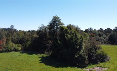 Parcela en Venta en Parcelación Lomas de Maullín