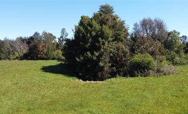 Parcela en Venta en Parcelación Lomas de Maullín