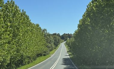 Parcela en Venta en Parcelación Lomas de Maullín