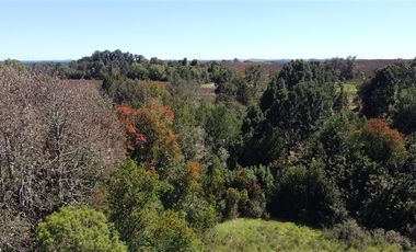 Parcela en Venta en Parcelación Lomas de Maullín