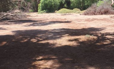 OPORTUNIDAD DE INVERSIÓN TERRENO CON ACCESO DIRECTO A RUTA 5