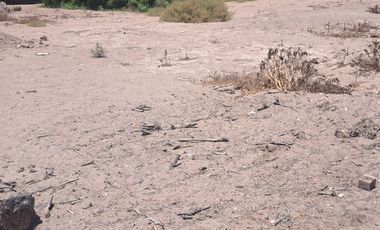 OPORTUNIDAD DE INVERSIÓN TERRENO CON ACCESO DIRECTO A RUTA 5