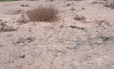 OPORTUNIDAD DE INVERSIÓN TERRENO CON ACCESO DIRECTO A RUTA 5