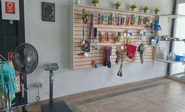 Traspaso de Estética Canina  en Mariano Otero