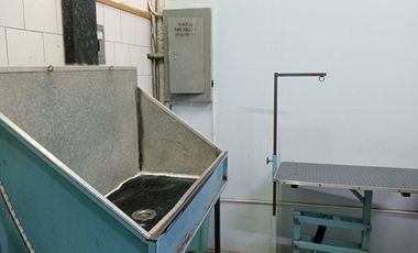 Traspaso de Estética Canina  en Mariano Otero