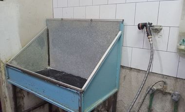 Traspaso de Estética Canina  en Mariano Otero